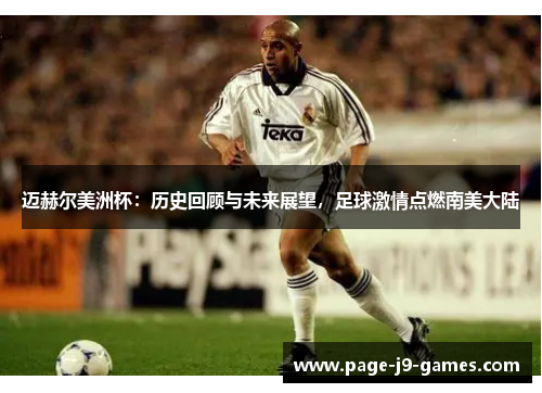 迈赫尔美洲杯：历史回顾与未来展望，足球激情点燃南美大陆